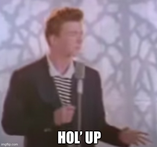 i'm sorry what? (rick astley) | HOL’ UP | image tagged in i'm sorry what rick astley | made w/ Imgflip meme maker