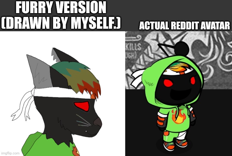 Drew em as a black cat because I like cats, and ngl. I can relate to em and yet my main sona's a bird | FURRY VERSION (DRAWN BY MYSELF.); ACTUAL REDDIT AVATAR | made w/ Imgflip meme maker