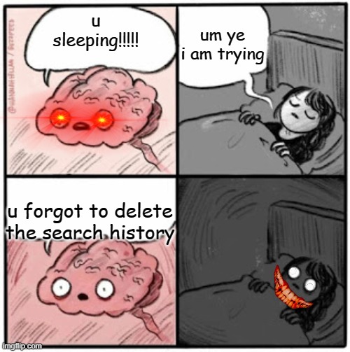 so true | um ye i am trying; u sleeping!!!!! u forgot to delete the search history | image tagged in brain before sleep | made w/ Imgflip meme maker