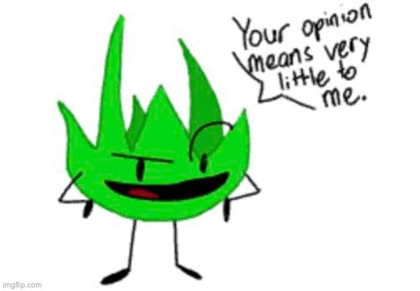 grassy cares little about your opinion Blank Meme Template
