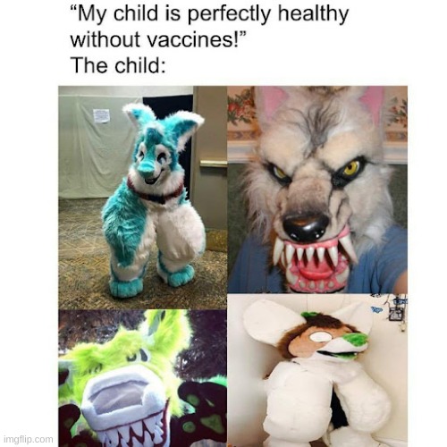 this is not anti-furry | image tagged in furry | made w/ Imgflip meme maker