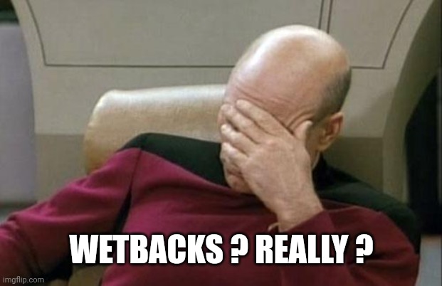 Captain Picard Facepalm Meme | WETBACKS ? REALLY ? | image tagged in memes,captain picard facepalm | made w/ Imgflip meme maker