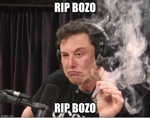 Elon Musk smoking a joint | RIP BOZO RIP BOZO | image tagged in elon musk smoking a joint | made w/ Imgflip meme maker