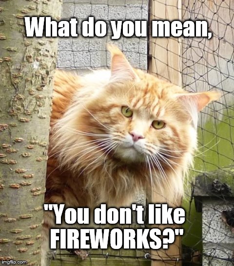 What do you mean, "You don't like FIREWORKS?" | image tagged in funny,cats | made w/ Imgflip meme maker