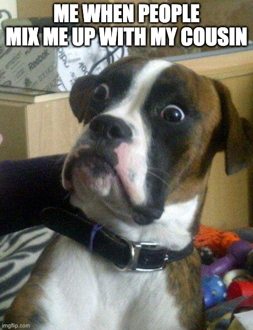 Blankie the Shocked Dog | ME WHEN PEOPLE MIX ME UP WITH MY COUSIN | image tagged in blankie the shocked dog | made w/ Imgflip meme maker