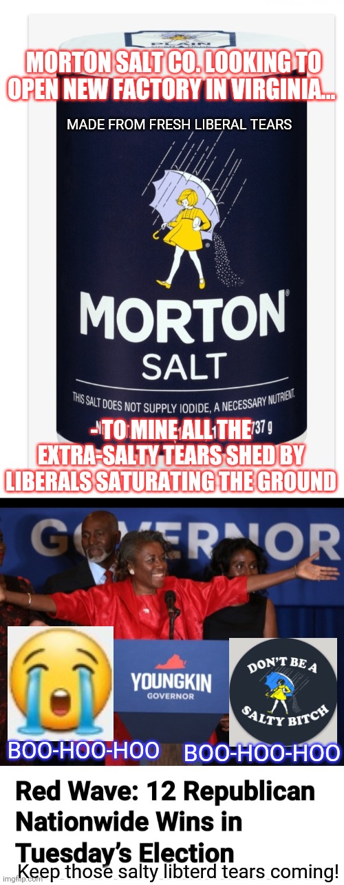 Sweet Liberal Tears | MORTON SALT CO. LOOKING TO OPEN NEW FACTORY IN VIRGINIA... MADE FROM FRESH LIBERAL TEARS; - TO MINE ALL THE EXTRA-SALTY TEARS SHED BY LIBERALS SATURATING THE GROUND; BOO-HOO-HOO; BOO-HOO-HOO; Keep those salty libterd tears coming! | image tagged in libtard,losers,suck,liberal tears,triggered liberal | made w/ Imgflip meme maker