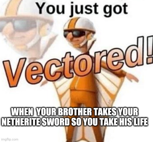 Vector minecraft | WHEN  YOUR BROTHER TAKES YOUR NETHERITE SWORD SO YOU TAKE HIS LIFE | image tagged in you just got vectored | made w/ Imgflip meme maker