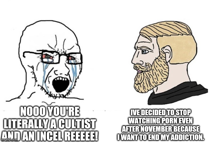 Soyboy Vs Yes Chad | IVE DECIDED TO STOP WATCHING PORN EVEN AFTER NOVEMBER BECAUSE I WANT TO END MY ADDICTION. NOOO YOU'RE LITERALLY A CULTIST AND AN INCEL REEEEE! | image tagged in soyboy vs yes chad | made w/ Imgflip meme maker