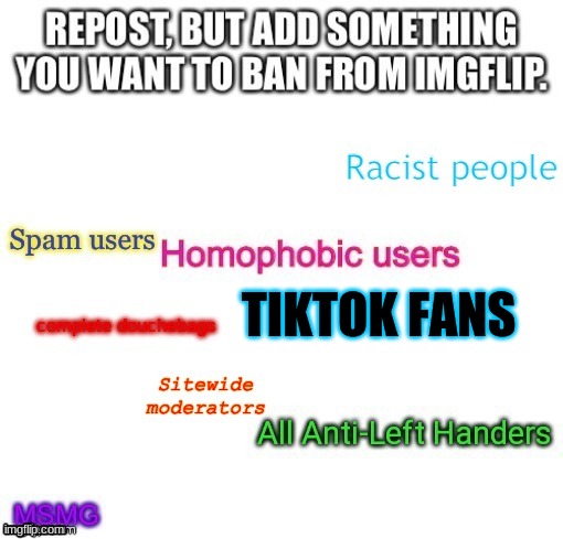 TIKTOK FANS | image tagged in tik tok sucks,tiktok sucks,tiktok,tik tok,homophobic,racist | made w/ Imgflip meme maker