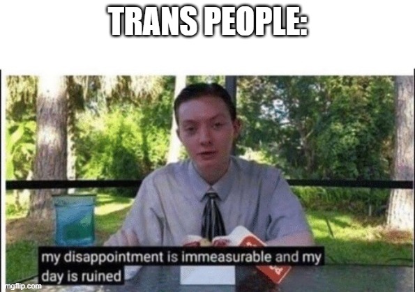 My dissapointment is immeasurable and my day is ruined | TRANS PEOPLE: | image tagged in my dissapointment is immeasurable and my day is ruined | made w/ Imgflip meme maker