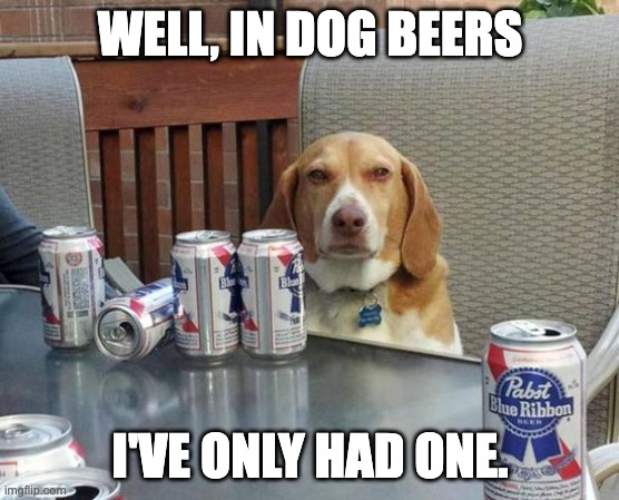 dog | WELL, IN DOG BEERS; I'VE ONLY HAD ONE. | image tagged in beer dog | made w/ Imgflip meme maker