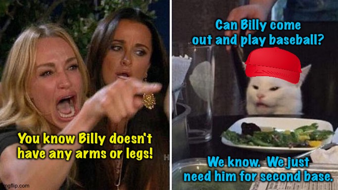 Mean cat | Can Billy come out and play baseball? We know.  We just need him for second base. You know Billy doesn't have any arms or legs! | image tagged in angry lady cat | made w/ Imgflip meme maker