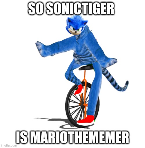 Dat boi sonictiger | SO SONICTIGER; IS MARIOTHEMEMER | image tagged in dat boi sonictiger | made w/ Imgflip meme maker