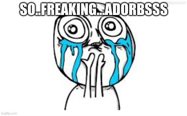 Crying Because Of Cute Meme | SO..FREAKING...ADORBSSS | image tagged in memes,crying because of cute | made w/ Imgflip meme maker