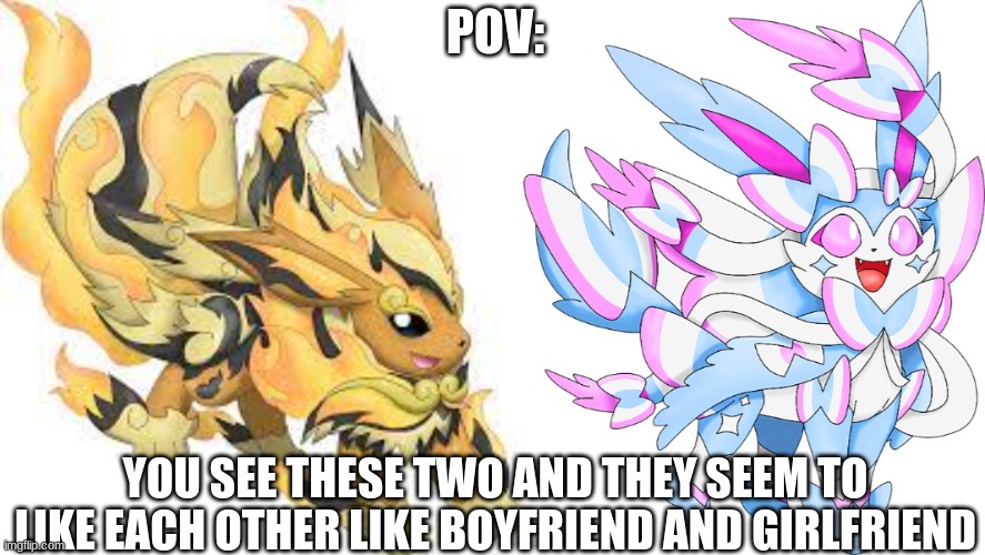 POKEMON OCS recommended. by that i mean pikachu or eevee or whatever. | POV:; YOU SEE THESE TWO AND THEY SEEM TO LIKE EACH OTHER LIKE BOYFRIEND AND GIRLFRIEND | made w/ Imgflip meme maker