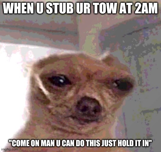 You can't make any noise or you are dead | WHEN U STUB UR TOW AT 2AM; "COME ON MAN U CAN DO THIS JUST HOLD IT IN" | image tagged in sneaky | made w/ Imgflip meme maker
