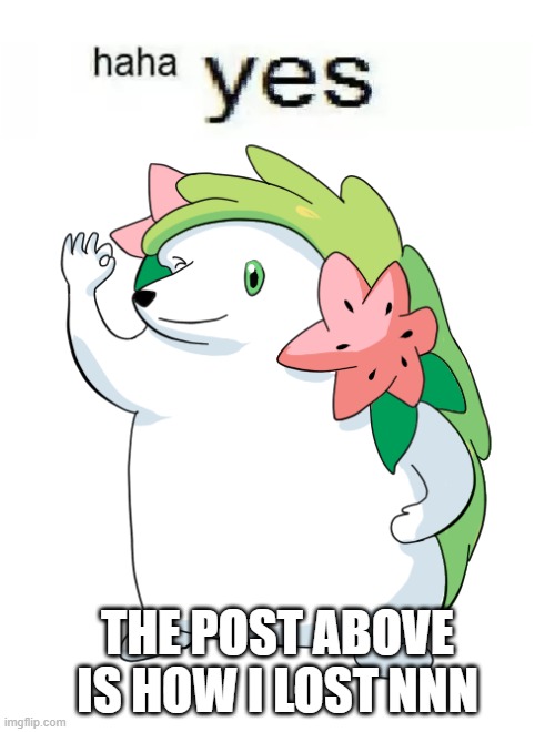 shamin haha yes | THE POST ABOVE IS HOW I LOST NNN | image tagged in shamin haha yes | made w/ Imgflip meme maker