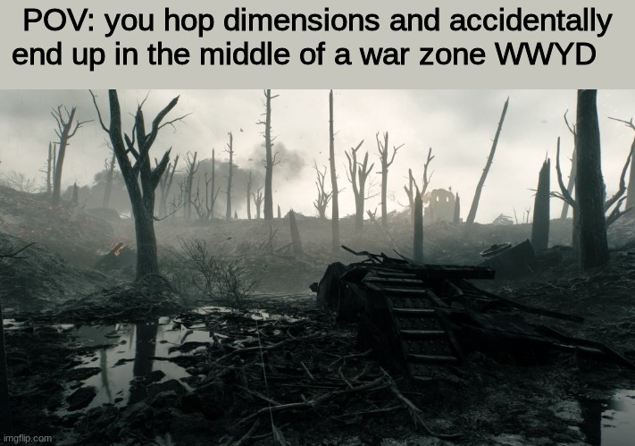 WWYD | POV: you hop dimensions and accidentally end up in the middle of a war zone WWYD | image tagged in roleplaying | made w/ Imgflip meme maker