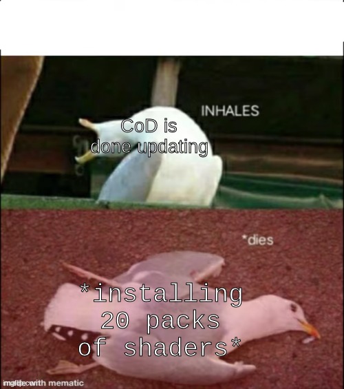 Shaders are not so epic gaming | CoD is done updating; *installing 20 packs of shaders* | image tagged in inhales dies,relatable,cod | made w/ Imgflip meme maker