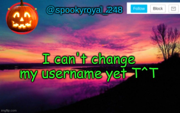 It sucks bc spooky month is over :,) | I can't change my username yet T^T | image tagged in spookyroyal_248 announcement temp halloween user,halp,can't change it,it hasn't been 30 days,why,i did it too late | made w/ Imgflip meme maker