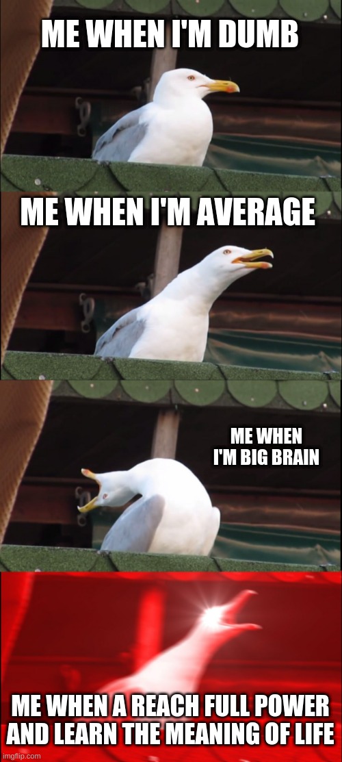 Inhaling Seagull | ME WHEN I'M DUMB; ME WHEN I'M AVERAGE; ME WHEN I'M BIG BRAIN; ME WHEN A REACH FULL POWER AND LEARN THE MEANING OF LIFE | image tagged in memes,inhaling seagull | made w/ Imgflip meme maker