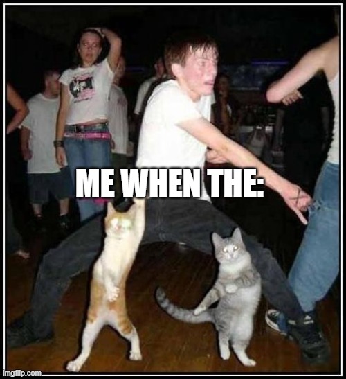 me when the | ME WHEN THE: | image tagged in dancin'cats | made w/ Imgflip meme maker