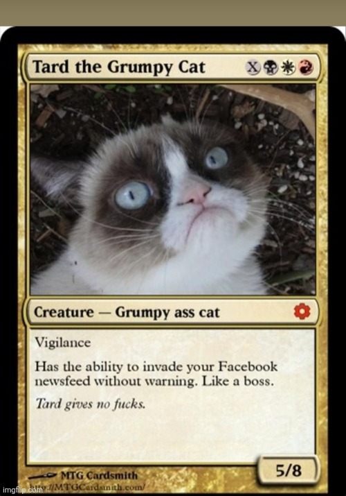 Draw Grumpy | image tagged in i love cats,grumpy cat again | made w/ Imgflip meme maker