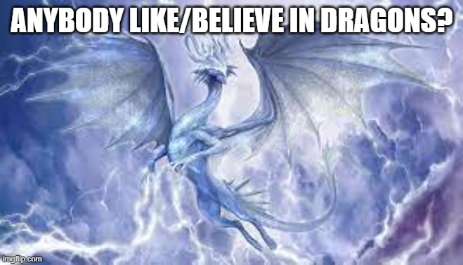 Anybody believe in and/or like dragons? Please comment your response. Also upvote and follow me. | ANYBODY LIKE/BELIEVE IN DRAGONS? | image tagged in dragon | made w/ Imgflip meme maker