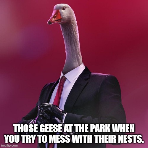 THOSE GEESE AT THE PARK WHEN YOU TRY TO MESS WITH THEIR NESTS. | image tagged in goose,guns,james bond | made w/ Imgflip meme maker