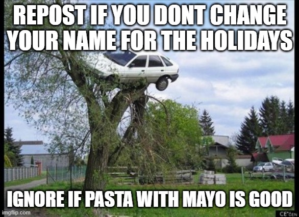 Secure Parking lmao | REPOST IF YOU DONT CHANGE YOUR NAME FOR THE HOLIDAYS; IGNORE IF PASTA WITH MAYO IS GOOD | image tagged in memes,secure parking | made w/ Imgflip meme maker