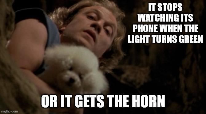 It Stops Watching Its Phone or it Gets the Horn | IT STOPS WATCHING ITS PHONE WHEN THE LIGHT TURNS GREEN; OR IT GETS THE HORN | image tagged in silence of the lambs lotion | made w/ Imgflip meme maker