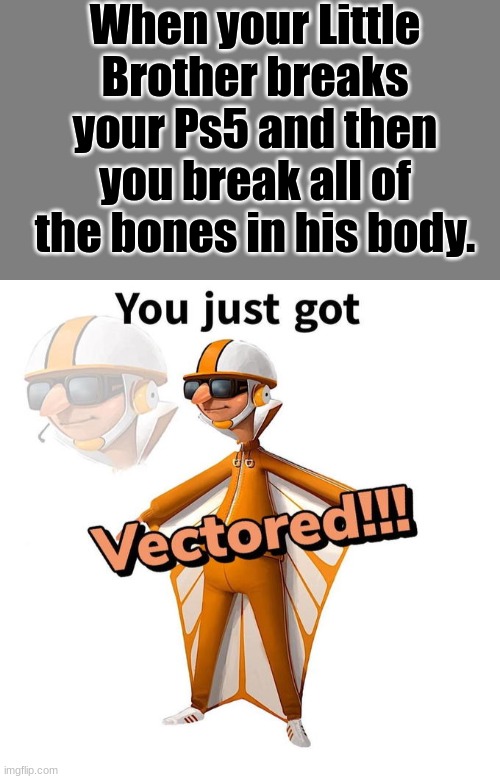 YOU JUST GOT VECTORED | When your Little Brother breaks your Ps5 and then you break all of the bones in his body. | image tagged in blank grey,you just got vectored,funny meme,no more | made w/ Imgflip meme maker