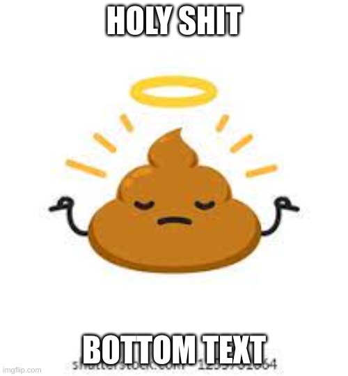 HOLY SHIT; BOTTOM TEXT | made w/ Imgflip meme maker