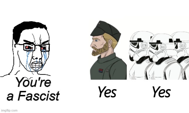 Yes. | You're a Fascist; Yes; Yes | image tagged in fascist,fascism,yes,star wars,empire | made w/ Imgflip meme maker