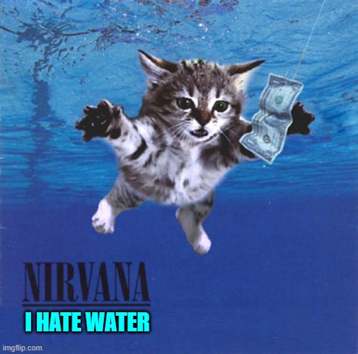 I HATE WATER | image tagged in vince vance,memes,cats,nirvana,nevermind,dollar bill | made w/ Imgflip meme maker