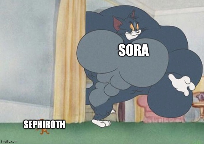tom and jerry | SORA; SEPHIROTH | image tagged in tom and jerry | made w/ Imgflip meme maker