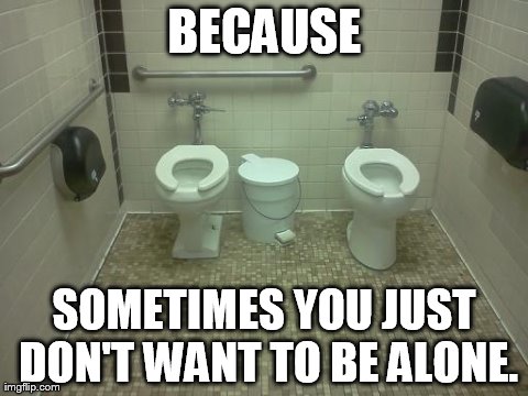 BECAUSE SOMETIMES YOU JUST DON'T WANT TO BE ALONE. | image tagged in toilet,funny | made w/ Imgflip meme maker