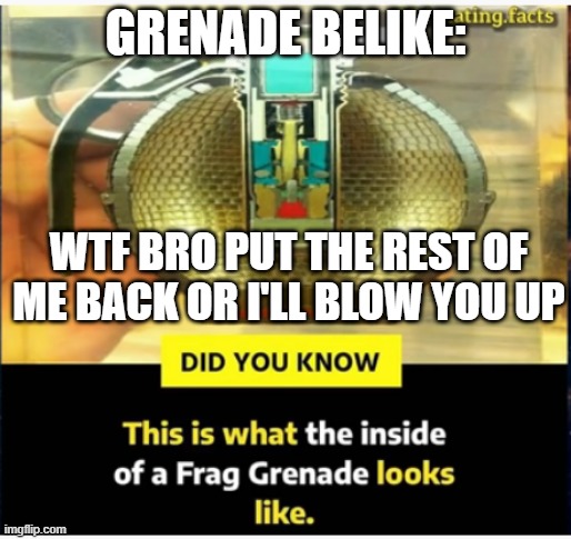 Dangerous situation | GRENADE BELIKE:; WTF BRO PUT THE REST OF ME BACK OR I'LL BLOW YOU UP | made w/ Imgflip meme maker
