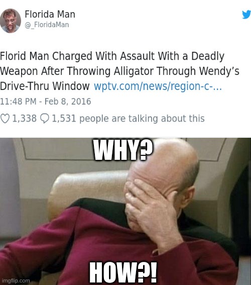 Sometimes I'm glad I don't live in Florida | WHY? HOW?! | image tagged in memes,captain picard facepalm,florida man,why,how | made w/ Imgflip meme maker