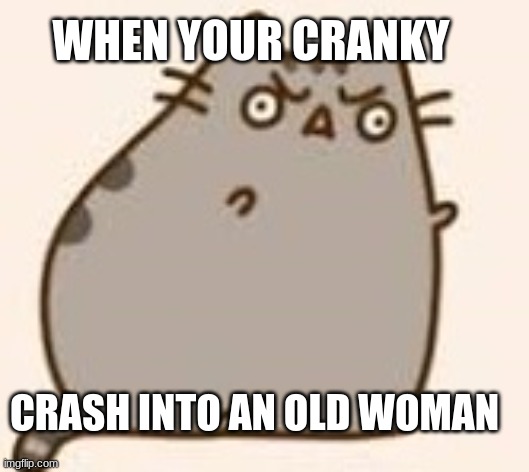 The Old Woman | WHEN YOUR CRANKY; CRASH INTO AN OLD WOMAN | image tagged in y u no pusheen | made w/ Imgflip meme maker