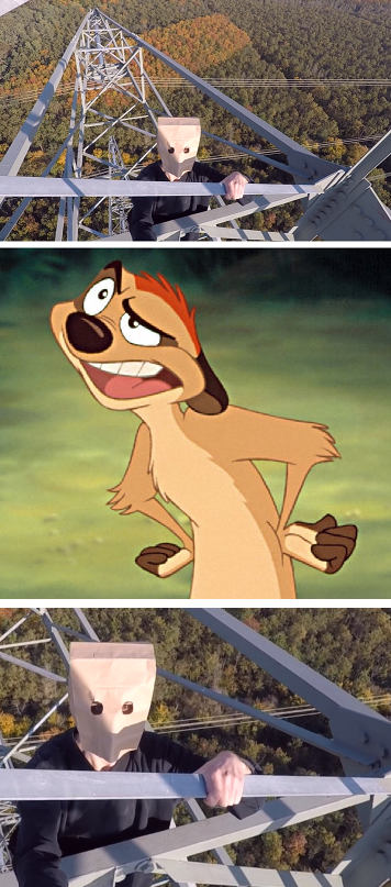 High Quality Timon is Angry Blank Meme Template