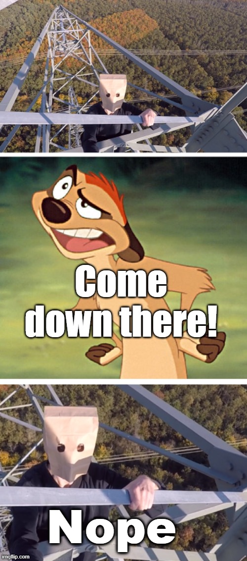 Timon is Angry | Come down there! Nope | image tagged in timon is angry | made w/ Imgflip meme maker