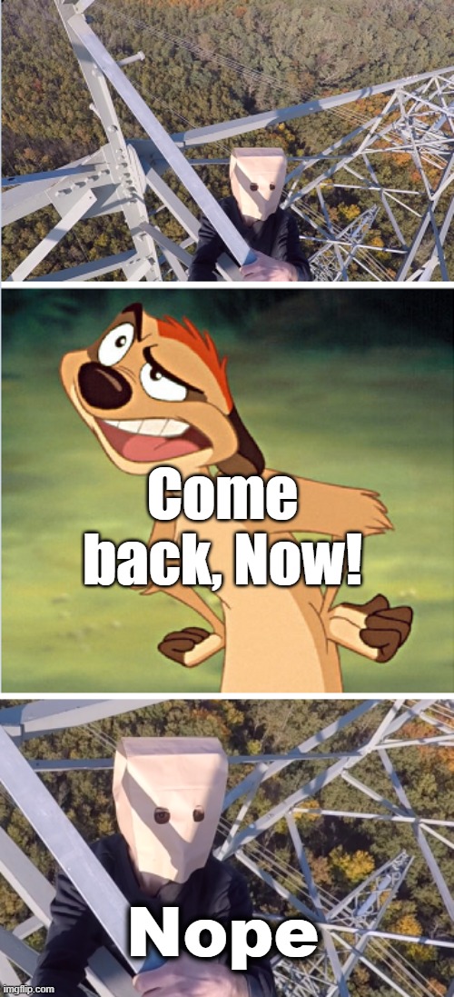 Timon | Come back, Now! Nope | image tagged in timon | made w/ Imgflip meme maker