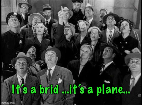 It’s a brid …it’s a plane… | made w/ Imgflip meme maker