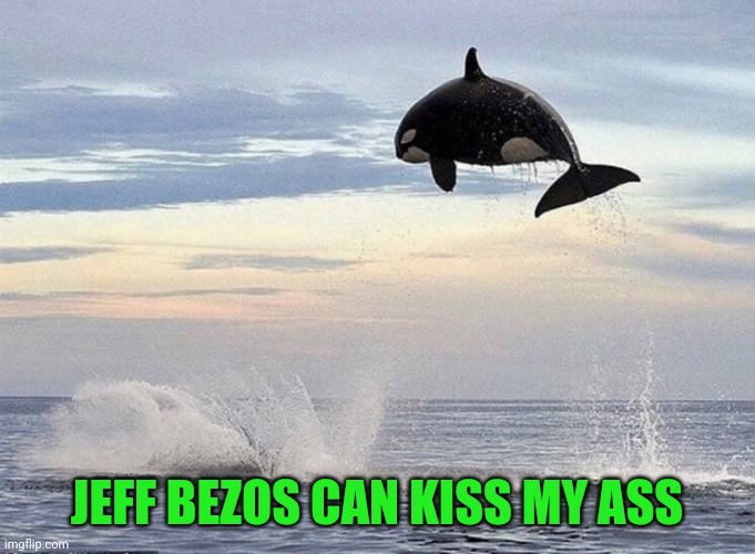 Orca Near Earth Orbit Space Program | JEFF BEZOS CAN KISS MY ASS | image tagged in memes,orca,whale space | made w/ Imgflip meme maker