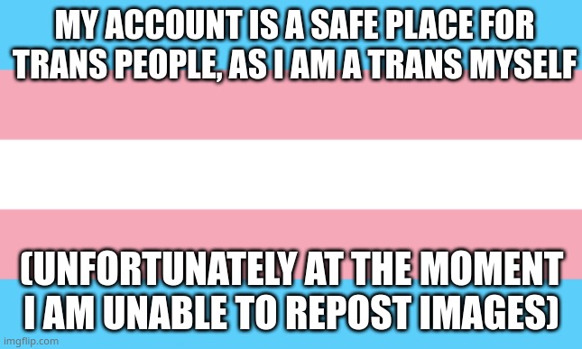 Trans Flag | MY ACCOUNT IS A SAFE PLACE FOR TRANS PEOPLE, AS I AM A TRANS MYSELF; (UNFORTUNATELY AT THE MOMENT I AM UNABLE TO REPOST IMAGES) | image tagged in trans flag | made w/ Imgflip meme maker