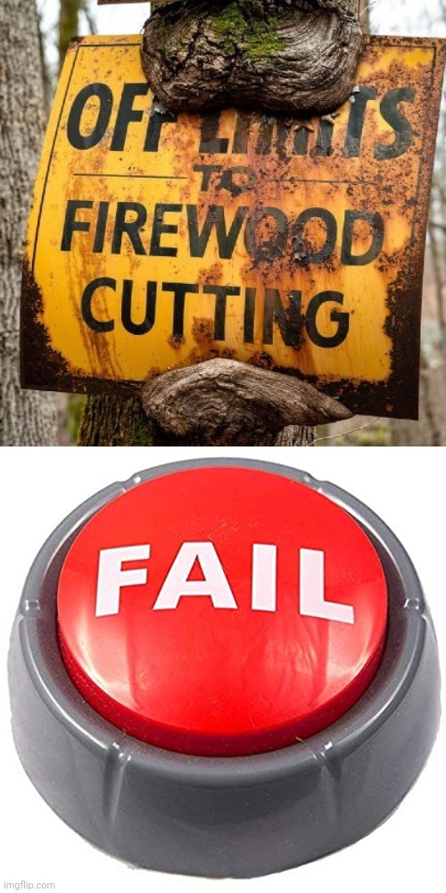 Hahahahaha, tree eating up the sign | image tagged in fail red button,you had one job,memes,fire,wood,signs | made w/ Imgflip meme maker
