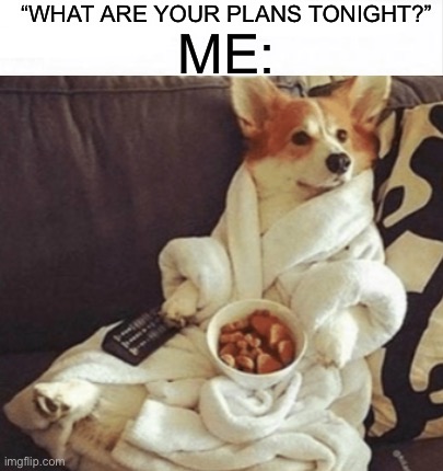 My plans tonight. Relatable or no? D: | “WHAT ARE YOUR PLANS TONIGHT?”; ME: | image tagged in memes,funny,relatable memes,dogs,food,me when | made w/ Imgflip meme maker