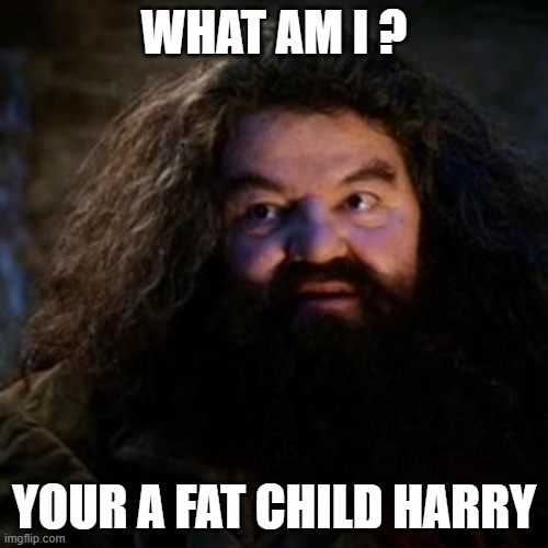 Hagrids response to harry | WHAT AM I ? YOUR A FAT CHILD HARRY | image tagged in you're a wizard harry | made w/ Imgflip meme maker