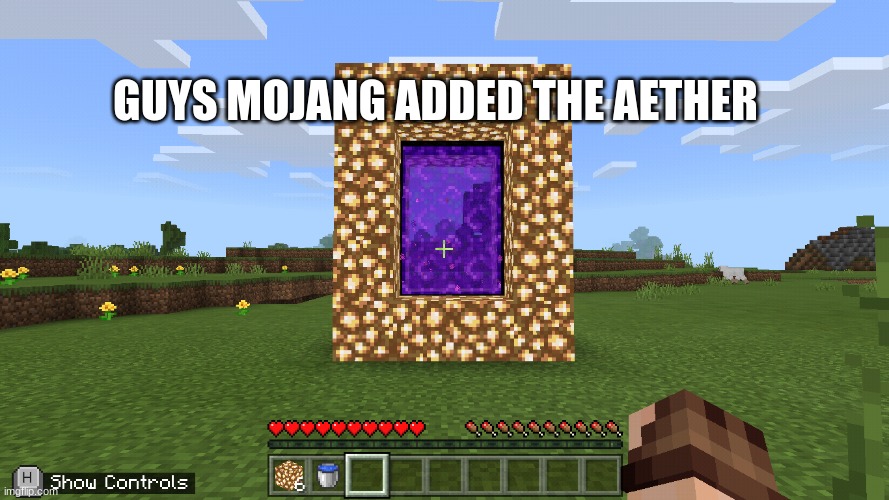 i made an aether portal | GUYS MOJANG ADDED THE AETHER | image tagged in aether | made w/ Imgflip meme maker